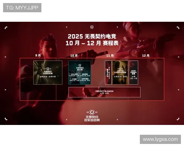 《全球电竞赛事发展新趋势分析 2025年热门游戏与行业格局变化》