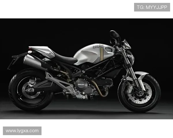 杜卡迪强势统治赛场马丁与巴尼亚亚冠军争夺进入白热化阶段